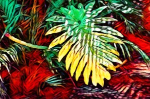 Elephant Leaves